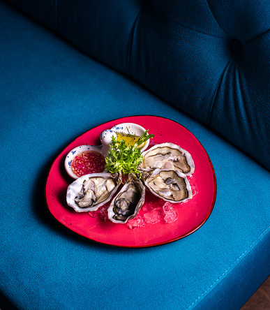 Fresh oysters in a red plate with ice and lemon on a blue background