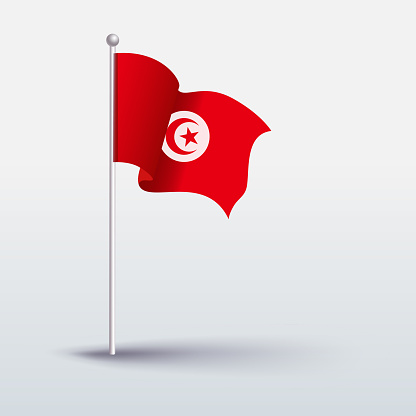Waving Flag of Tunisia ... flying under the white sky