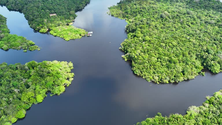 Stunning landscape of Amazon Forest at Amazonas State Brazil.