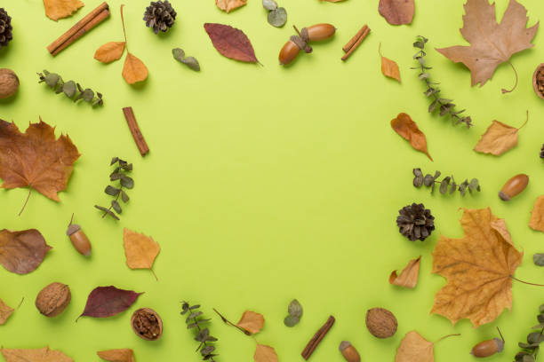istock Autumn leaves with decor on color background, top view 1706634122
