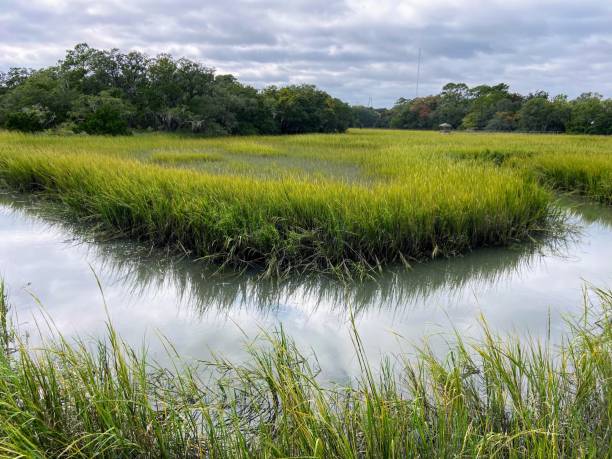 istock Shem Creek Park in Mount Pleasant, South Carolina 1706675407