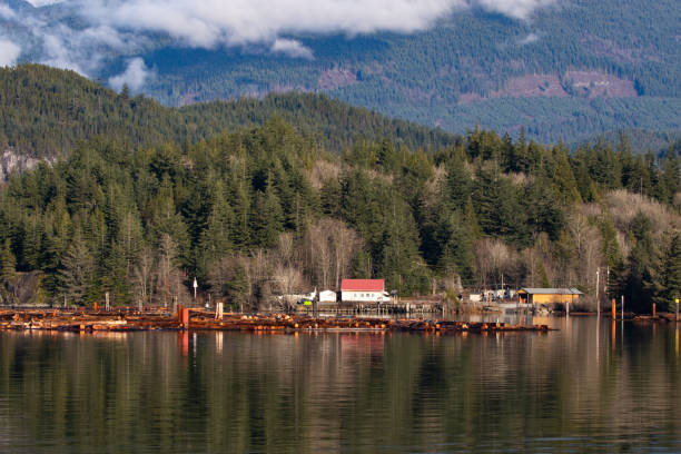 istock Along Squamish River near Howe Sound in British Columbia 1706693992