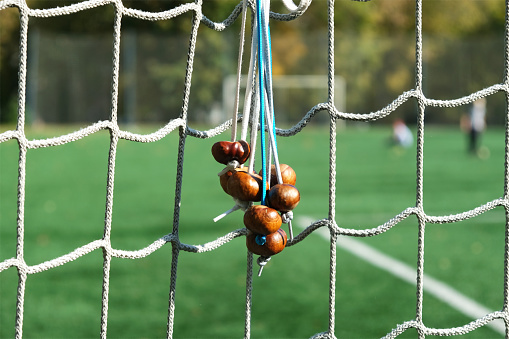 Conkers on a strings hang on the net of football goal. Conkers is children game played using seeds of horse chestnut trees. Autumn entertainment.