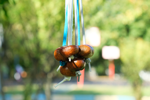Chestnuts hanging on strings. A large bundle for Conkers game. Conkers is a traditional children game played using seeds of horse chestnut trees. Autumn entertainment.