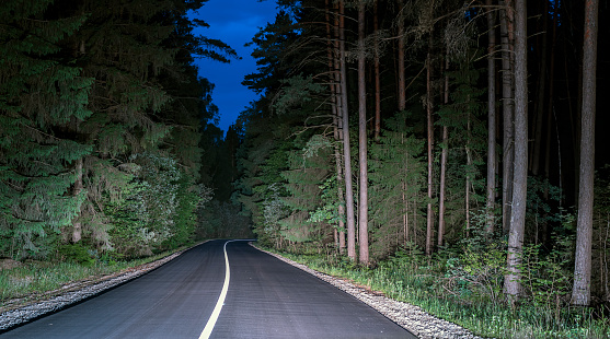 The mystic road through the pine trees forest at night.