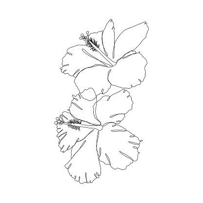 Set of hibiscus flowers drawn in continuous line drawing style with an editable stroke for easy editing.
