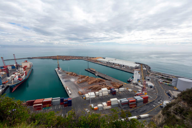istock Seaport in New Zealand 1706810279