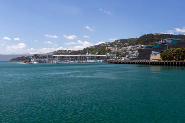 istock Wellington waterfront, New Zealand 1706814530