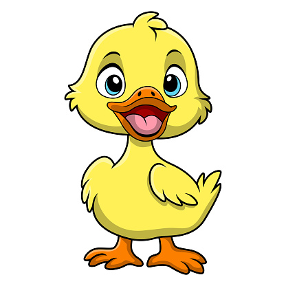 Vector illustration of Cute little duck cartoon on white background