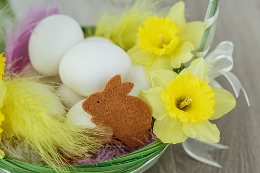 Close up of homemade decoration in basket with yellow delicate daffodils around and rabbit figure to put Easter eggs.