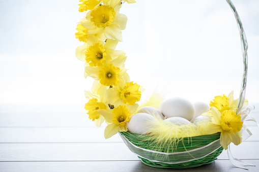 Copyspace of homemade decoration with basket and yellow delicate narcissus around the handler to put chicken eggs. White curtains are behind.