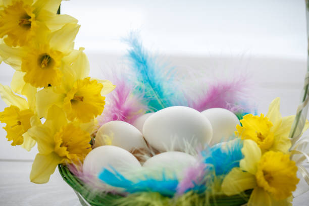 Cut out of chicken eggs placed on a basket with colorful feathers and yellow flowers.