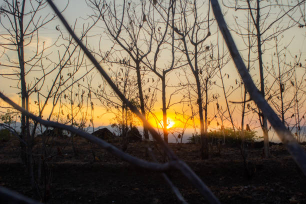 Sun had already set and only the remaining light could be seen from the mountain