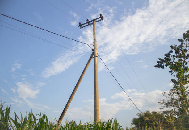 Electric pole has supports to make it stronger