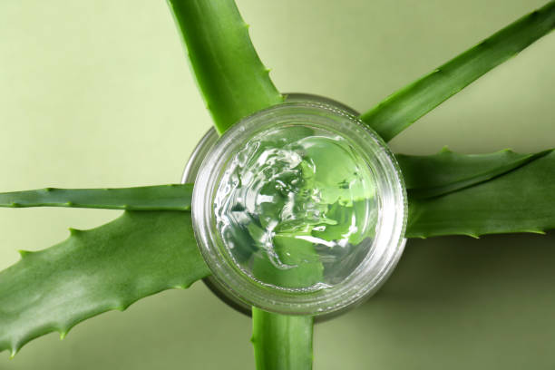 istock Aloe leaves and cosmetic gel on olive background, flat lay 1707026574