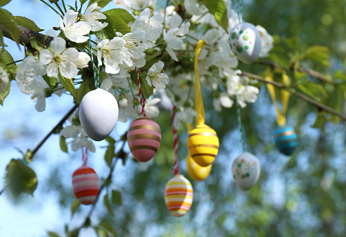 Hanging Easter eggs on tree with soft focus bokeh. Spring Easter concept background.