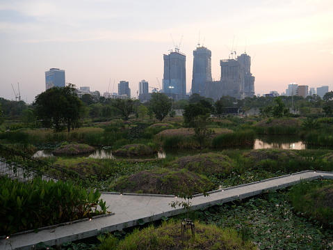 Construction site and city park in Bangkok