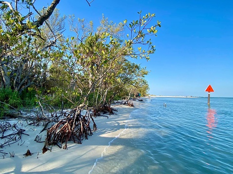 A sun-soaked sandy beach with lush vegetation on the shoreline
