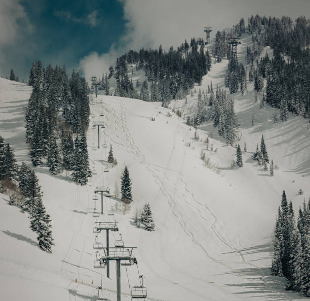 istock First tracks in Utah powder 1707157276
