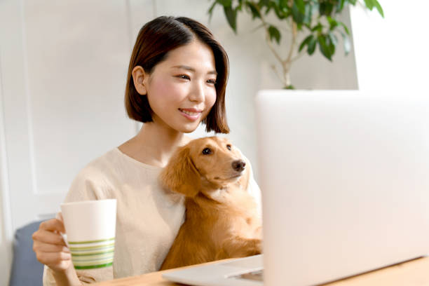 istock Young Asian woman operating a computer while holding a dog indoors 1707169112