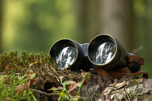Retro binoculars resting on a tree log, lenses reflecting the surrounding trees, backdrop filled with forest setting, sense of exploration or observation