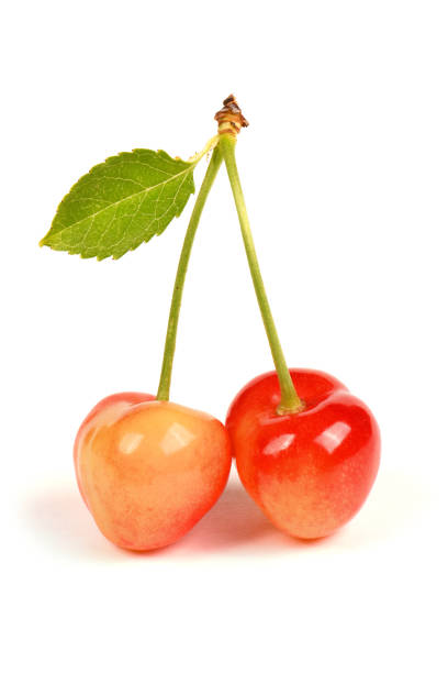 istock Light red sweet cherry with green leaves., side view isolated on white. Extrem close-up. 1707190613
