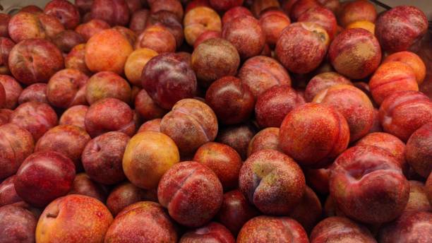 istock sweet and delicious plums 1707192792