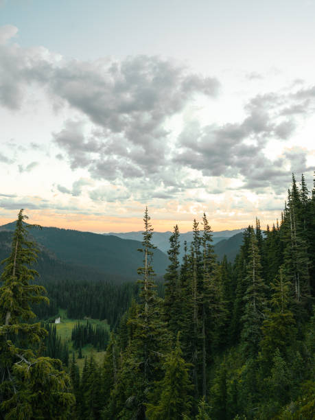 istock Mt Rainier National Park 1707197144