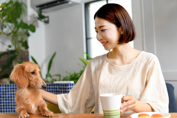 istock Young Asian woman communicating with dog 1707219755