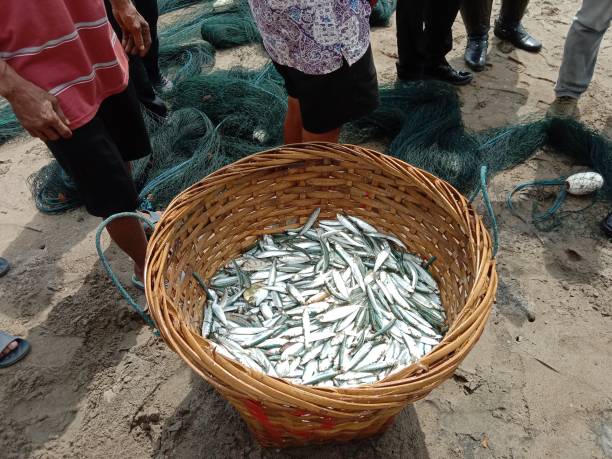 istock Fishes in bamboo basket 1707234480