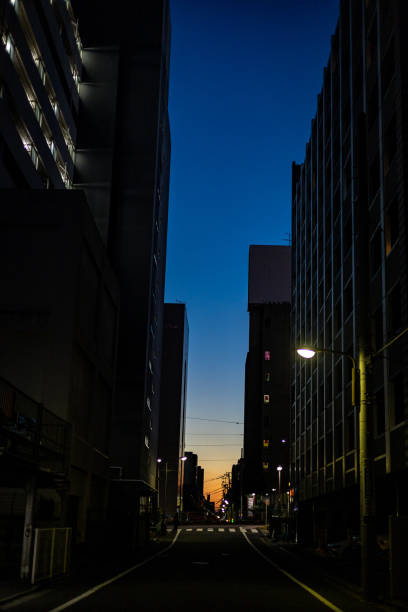 The beautiful view in Tokyo