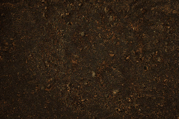 istock Extreme close-up of  brown dirt texture background 1707325525