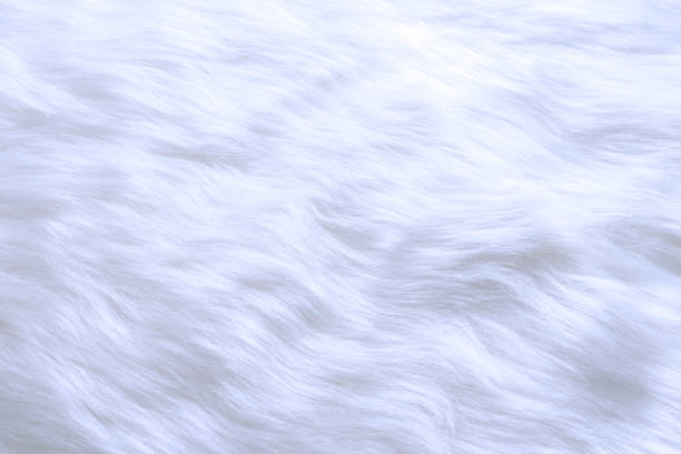 istock Extreme close-up of white fur texture background 1707344847