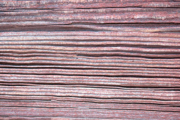 Nature wood textured wallpaper background, Natural material