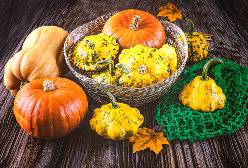 Harvest of ripe yellow and orange pumpkins in basket, autumn leaves, knitted green bag on wooden background. Autumn still life