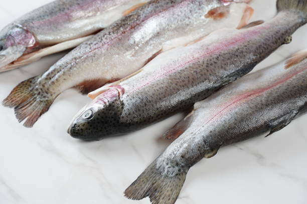 istock Fresh trout on a table. Healthy seafood and dieting concept. 1707414794