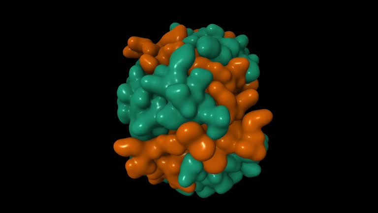 Structure of native human insulin oligomer