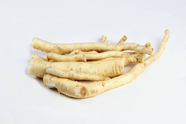 Dang Shen root or Poor Man's Ginseng, lat.  Codonopsis Pilosula Fresh roots ready to make tincture, Chinese herbal medicine. codonopsis pilosula stock pictures, royalty-free photos & images