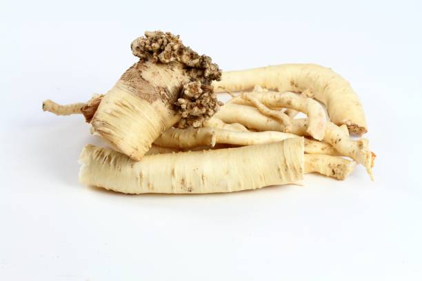 Dang Shen root or Poor Man's Ginseng, lat.  Codonopsis Pilosula Fresh roots ready to make tincture, Chinese herbal medicine. codonopsis pilosula stock pictures, royalty-free photos & images