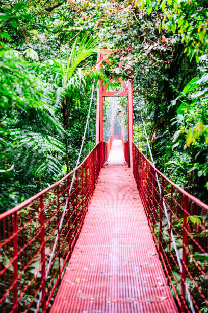 istock Costa Rica Hanging Bridge 1707462721