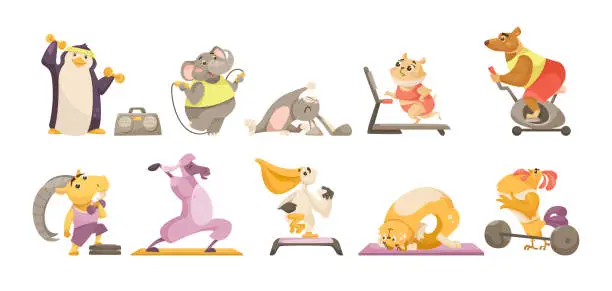 Vector illustration of Animal characters doing sport cartoon illustration set