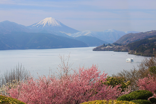 The scenery of Mountain Fuji from Hakone Detached Palace.Hakone, Ashigarashimo District, Kanagawa