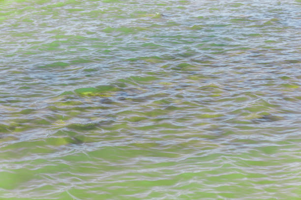 background sea water near the shore with a stone shore - romantics imagens e fotografias de stock