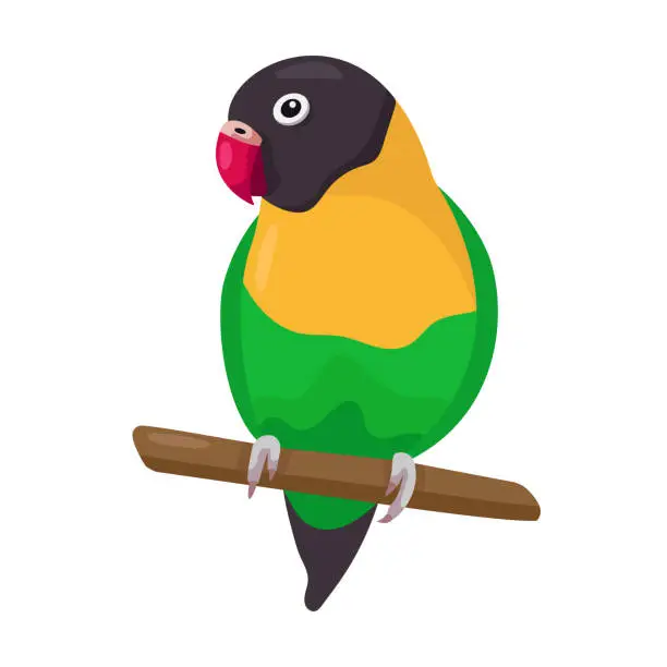 Vector illustration of Cartoon funny green love bird sitting on a branch. Flat little colorful exotic parrot. Vector illustration on white background. Good for T-shirts, posters, book covers, banners
