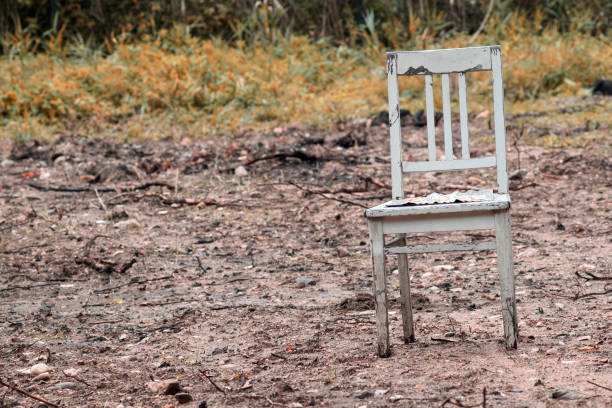 Single white wooden chair with green padded seat and backrest outdoors on gravel with autumn trees