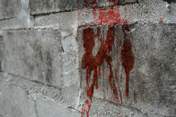 1,200+ Blood Splatter Wall Stock Photos, Pictures & Royalty-Free Images