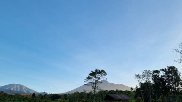 istock Tranquil Forest Landscape with Blue Sky and Mountain 1707566909