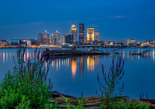 A long exposure shot of Louisville, Kentucky and the Ohio River with a fallen tree during a blue hour.