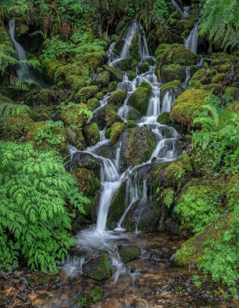 istock Cascading waterfall rushes down a rocky hillside. 1707581171