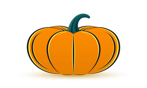 ilustrações de stock, clip art, desenhos animados e ícones de pumpkin icon. halloween, thanksgiving, autumn or harvest symbol. cute cartoon vegetable. orange squash or gourd logo. vector illustration. - 12042